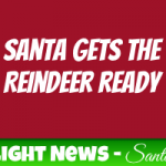 Reindeer Hitched to Sleigh 3