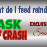 What to Feed Reindeer 4