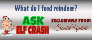 Feed Santa's Reindeer