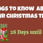 Things to Know About Your Christmas Tree 6