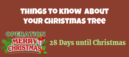 Things to Know About Your Christmas Tree 1