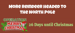 Reindeer Crowding at the North Pole 2