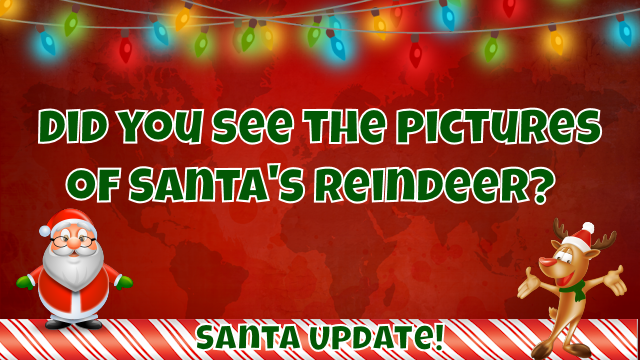 Pictures of Santa's Reindeer 1