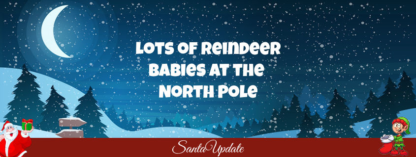 Lots of Reindeer Babies at the North Pole 1