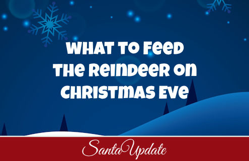 What to Feed the Reindeer