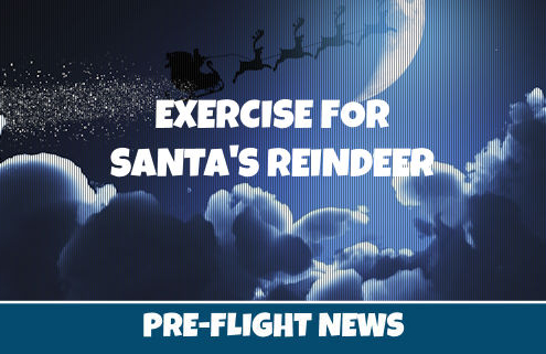 Reindeer Exercise