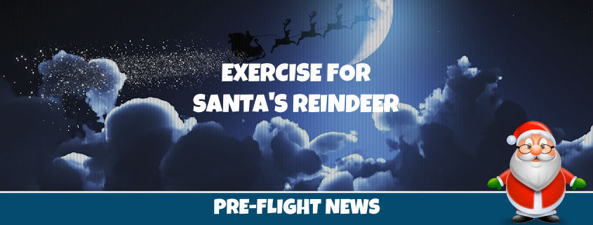 Reindeer Exercise