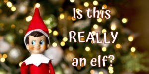 The Truth about Elf on the Shelf