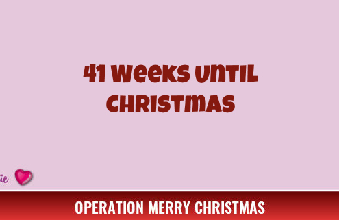 41 Weeks Until Christmas 3