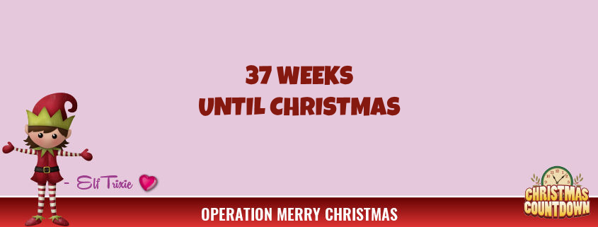 37 Weeks Until Christmas