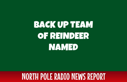 Backup Team of reindeer