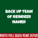 Backup Team of reindeer