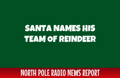 Starting Team of Reindeer