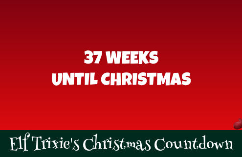 37 Weeks Until Christmas 3