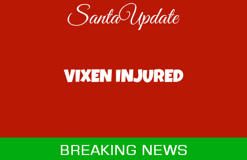 Vixen Injured 3