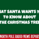 All About Your Christmas Tree 1