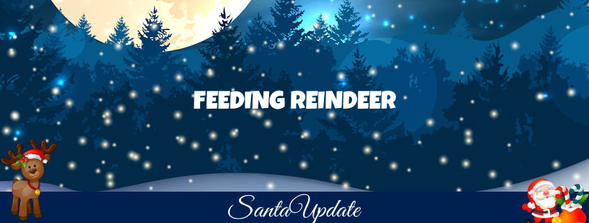 What to Feed Santa’s Reindeer 1