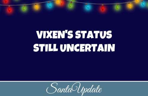 Vixen Still Uncertain to Fly 8